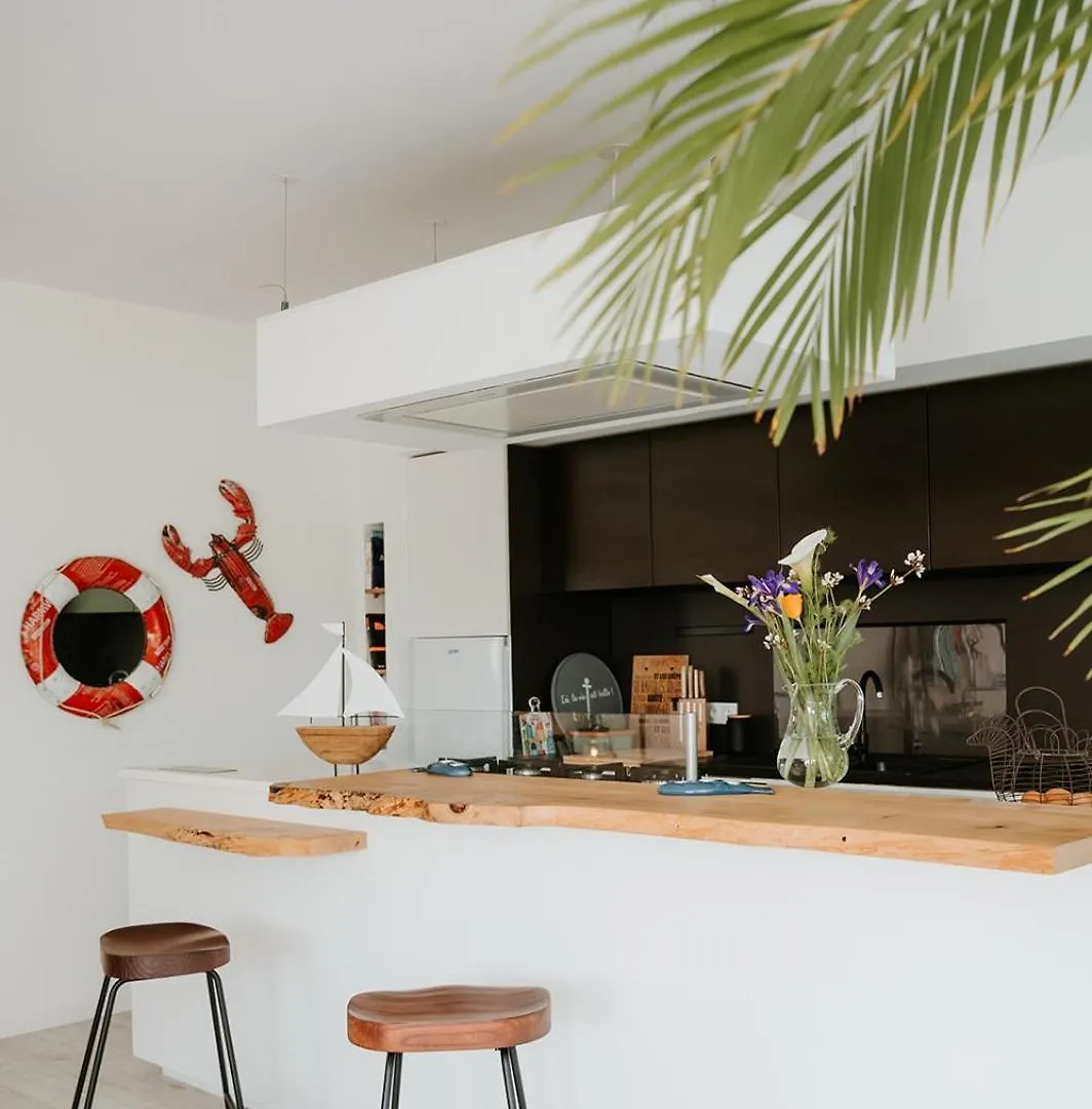 Holiday home La Villa Des Dunes, 100 M De La Mer, Spa, Sauna Ploudalmezeau